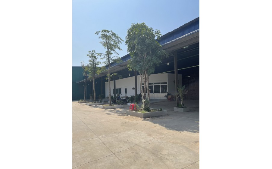 Bán xưởng Bàu Bàng Bình Dương.Tổng Diện Tích Đất: 13.656m².Diện Tích Xưởng: 12.562m².Giá Bán: 35 tỷ VND