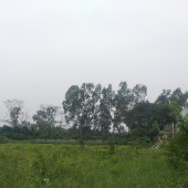 Bán 3ha đất công nghiệp tại Văn Giang, Hưng Yên. Cách mặt đường 379 khoảng 300m