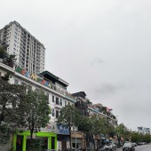 Nhà Chu Huy Mân, ngõ ô tô tránh, gara, 95m², 3t, 4.2 mt, giá 9.8 tỷ.