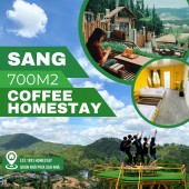 CHÍNH CHỦ SANG NHƯỢNG KD 700M2 HOMESTAY & COFFEE trung tâm TP.Đà Lạt