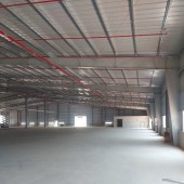 Cho Thuê Xưởng KCN Bình Dương - Diện Tích 6.000m², Giá Tốt Nhất