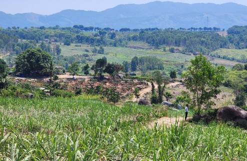 Bán nhanh Lô đất đô thị Nam Sông Cái, Diên Khánh. Ngay trung tâm!