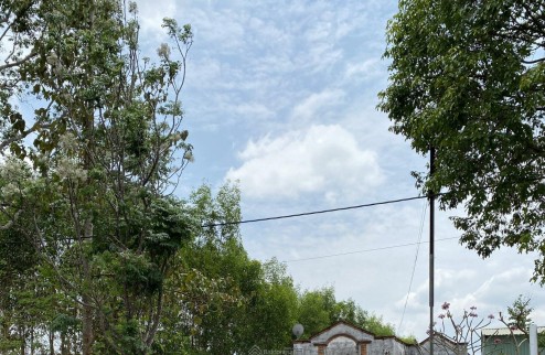 Lô đất cực hiếm mặt tiền đường Bình Giã (đường Mỹ Xuân – Ngãi Giao cũ) trung tâm thị xã Phú Mỹ – BR – VT.