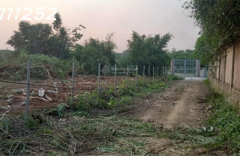 Chính chủ cần bán gấp 1.500m² đất tại xã Đông Xuân, Quốc Oai, Hà Nội
