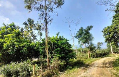 Bán Đất Đẹp - Vị Trí Đắc Địa Tại Xã Phú Vinh, Huyện Tân Lạc, Tỉnh Hoà Bình