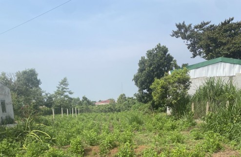 BÁN ĐẤT ĐẸP - Vị Trí Đẹp Tại TT Đinh Văn, Huyện Lâm Hà, Lâm Đồng