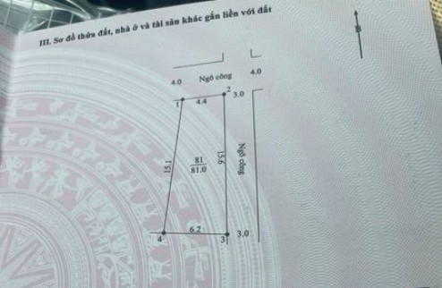 Cần Bán Đất 81m2, nhỉnh 2.x tỷ, giáp TL 419, Đại Yên, tk2, ô góc đường ô tô đánh võng vòng quanh đất.