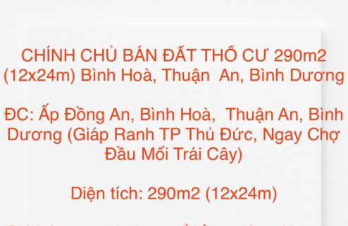 CHÍNH CHỦ BÁN  ĐẤT THỔ CƯ 290m2 (12x24m) Bình Hoà, Thuận  An, Bình Dương