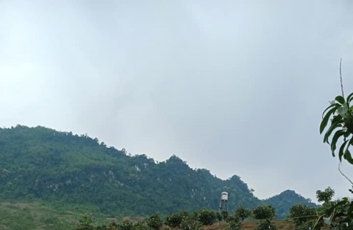 Bán nhà vườn Mộc Châu-Sơn La