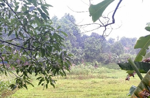 Bán BT Vườn Lài Phường An Phú Đông Quận 12, ngang 14.5m, giá chỉ 2x tỷ