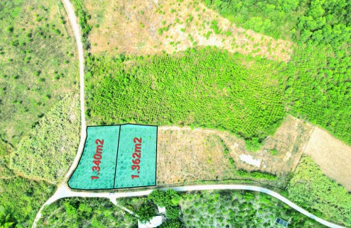 Bán 2 lô đất tại vị trí đắc địa của Khánh Nam-Khánh Vĩnh! Giá từ 850tr.