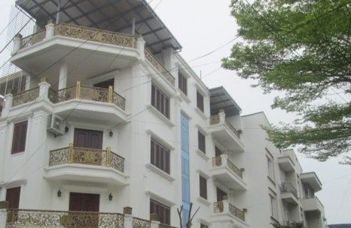 Nhà mới Chính chủ cho thuê 75m2,4T, VP, KD, Nhà hàng, Lãng Yên-20Tr