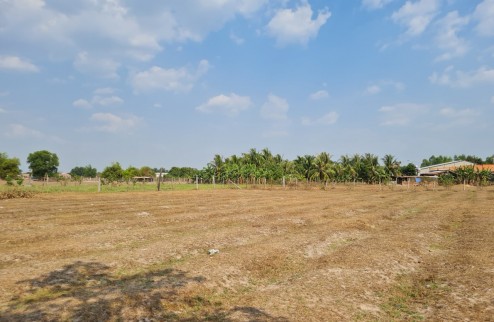 Bán đất tại mặt tiền đường Lộc Bình 6, xã Lộc Giang, Huyện Đức Hòa, tỉnh Long An
