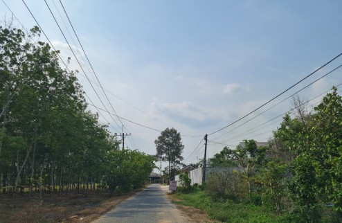 Bán đất nông nghiệp mặt tiền đường Lộc Bình, Đức Hòa, Long An