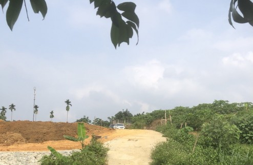 Bán đất xây nhà vườn nhà sinh thái Yên Bình, Thạch Thất ô tô ngõ thông rộng giá rẻ