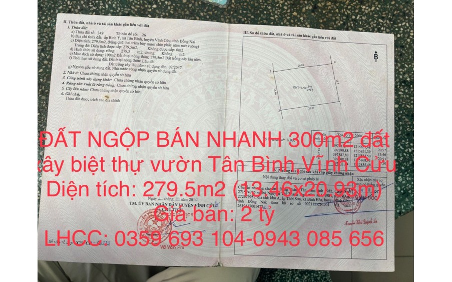 CẦN BÁN NHANH LÔ ĐẤT DT 279.5m2 Tại Xã Tân Bình Huyện Vĩnh Cửu, Đồng Nai