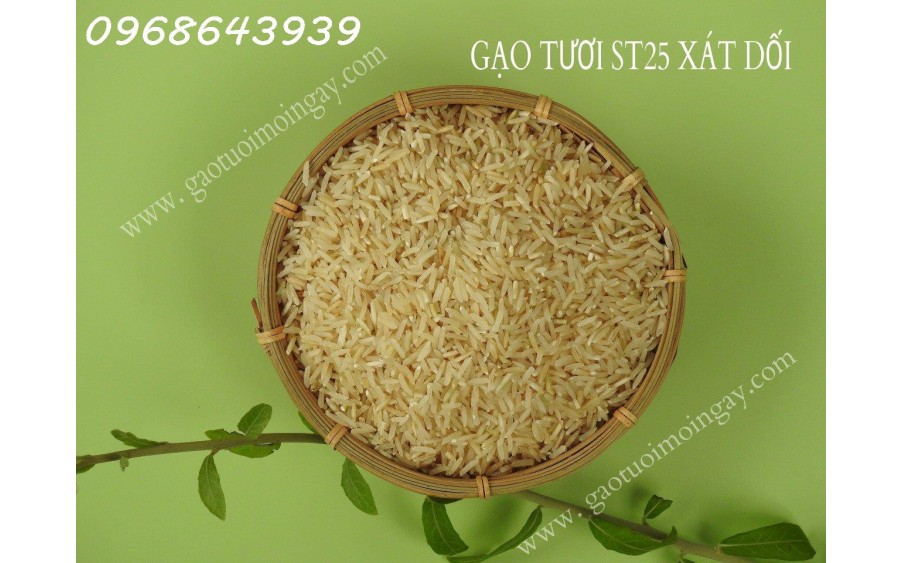 Gạo XÁT DỐI ST25 lúa tôm – Nguồn dinh dưỡng bị lãng quên, Miễn Phí Giao Hàng Toàn Quốc