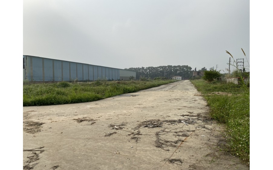 Cho thuê 8000m2-10000m2 kho xưởng và chuyển nhượng dự án 4,2ha