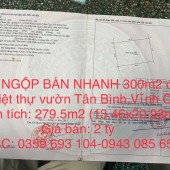 ĐẤT NGỘP BÁN NHANH 300m2 đất xây biệt thự vườn xã Tân Bình,Vĩnh Cửu