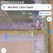 Bán đất 147m2 tại Đường Số 24, Ấp 4, Nha Bích, Chơn Thành, Bình Phước
