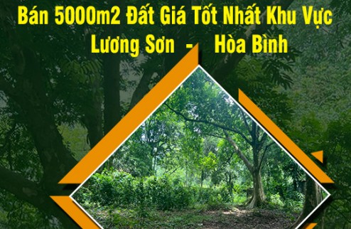 Chính Chủ Bán 5000m2 Đất Giá Tốt Nhất Khu Vực Lương Sơn-Hòa Bình