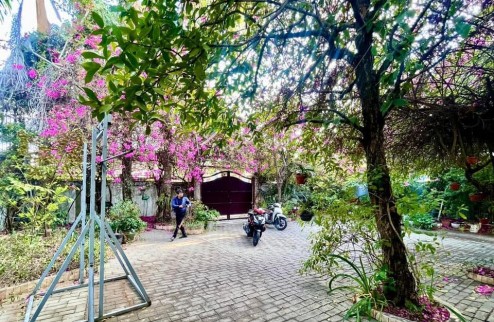 Bán đất tặng biệt thự sân vườn 1200m2 MT Huỳnh Tấn Phát, Nhà Bè, 64 tỷ 8