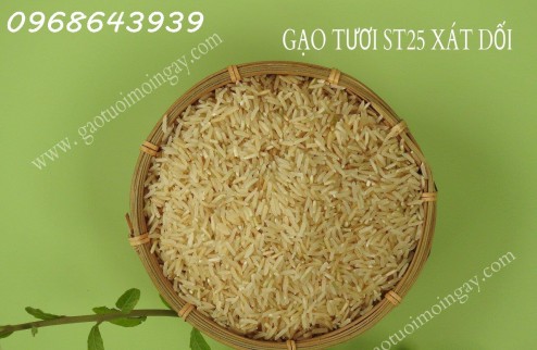 Gạo XÁT DỐI ST25 lúa tôm – Nguồn dinh dưỡng bị lãng quên, Miễn Phí Giao Hàng Toàn Quốc