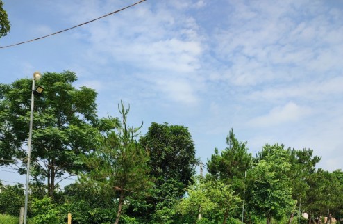 Bán đất đẹp view thiên nhiên Yên Bình Thạch Thất giá rẻ đường rộng ôtô đỗ xây nhà vườn.