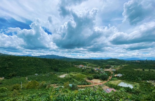 Chính chủ cần bán lô đất 9.120 m2, giá 360.000/m2, vị trí đắc địa ngay huyện Di Linh. MG1%
