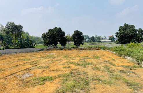 Cần bán lô đất 1036,7m2 ở Hoà Thạch ,Quốc Oai, HN, cách trực chính huyện 400m