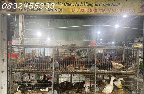 CẦN SANG NHƯỢNG SẠP GÀ TƯƠI SỐNG TẠI CHỢ LÂM PHÁT, THUẬN GIAO, THUẬN AN, BÌNH DƯƠNG