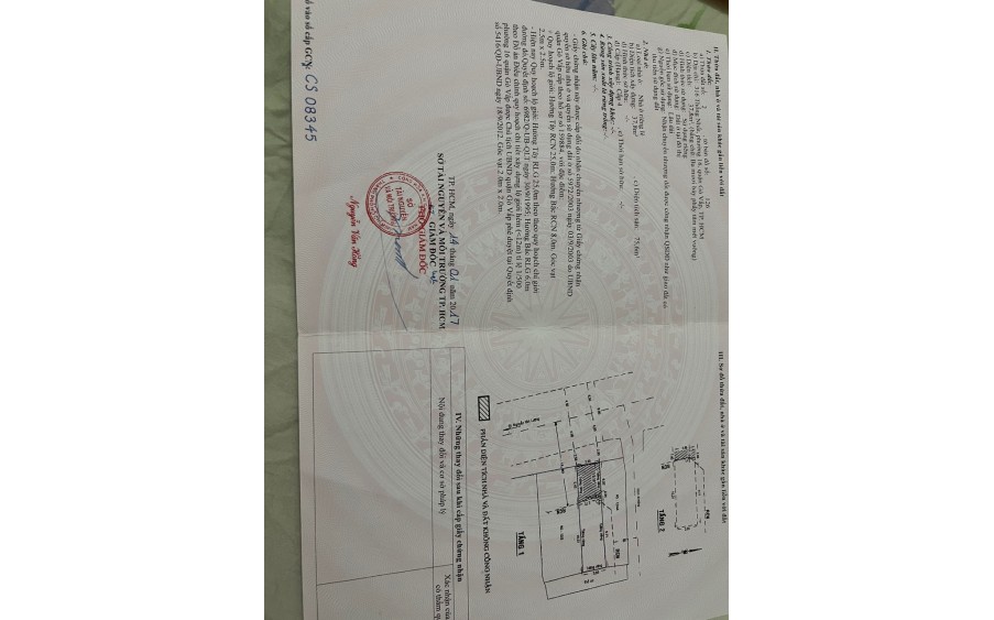 CHÍNH CHỦ BÁN GẤP NHÀ CẤP 4 Mặt Tiền 316 Thống Nhất, Phường 16, Quận Gò Vấp, TP HCM