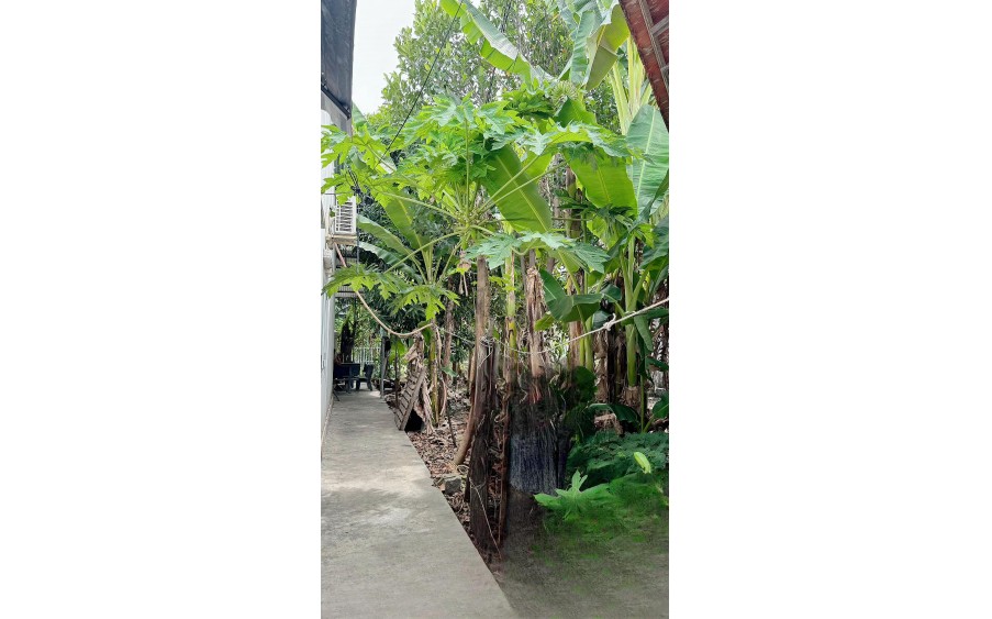 BÁN NHÀ CẤP 4 ĐƯỜNG Ô TÔ SÔNG DẦU - DIÊN AN -DIÊN KHÁNH