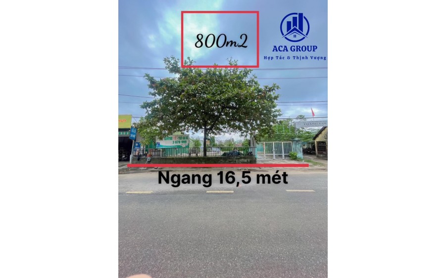 Cho Thuê 800m2 Đất Trống Đường Bùi Thị Xuân Gần chợ Phường Đúc