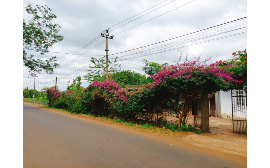 Bán Nhà Yến, Ấp Hòa An, Xã Hòa Hội , Huyện Châu Thành, Tây Ninh