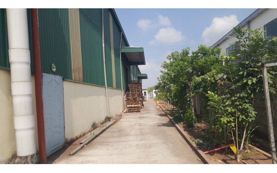 CHO THUÊ/ hoặc BÁN XƯỠNG KCN VSIP 2 BÌNH DƯƠNG.Diện Tích Đất : 6.200 m.Nhà Xưỡng : 3000m