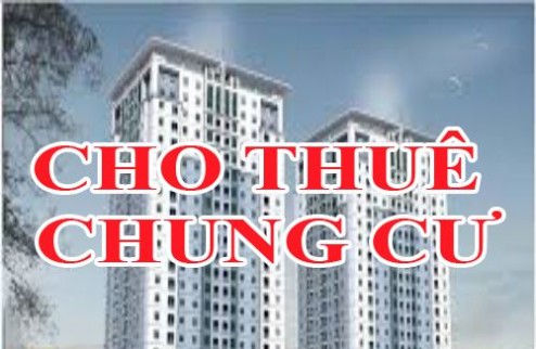 Chính chủ cần cho thuê chung cư đường Tân Thái 5, Quận Sơn Trà