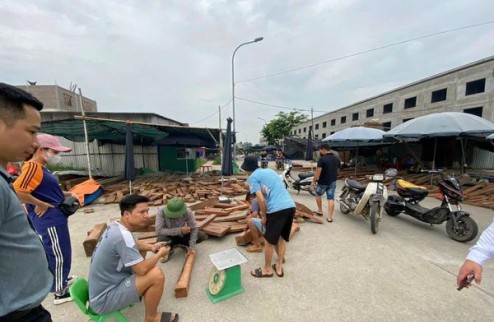 Bán đất nền sổ trao tay dự án Đại An, Phù Khê mặt đường Nguyễn Văn Cừ, Từ Sơn, Bắc Ninh