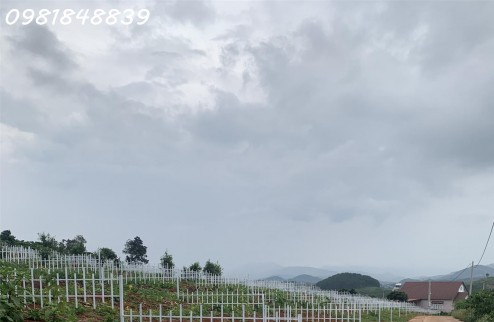Cần bán đất nền view cực đẹp tại Lâm Đồng, sổ hồng riêng, giá rẻ đầu tư sinh lời cực lớn