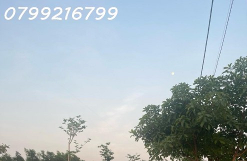Đất nền giá rẻ sổ riêng thổ cư Bình Minh Trảng Bom Đồng Nai , 1 sẹc QL1A. Gía bán 1 tỷ 150 /nền.Lh 0799 216 799 em Trinh.
