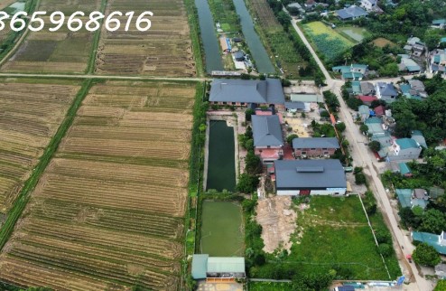 Sang nhượng dự án nông nghiệp an toàn VietGap tại Kim Phú, TP Tuyên Quang (sát Khu đô thị DanKo Kim Phú)