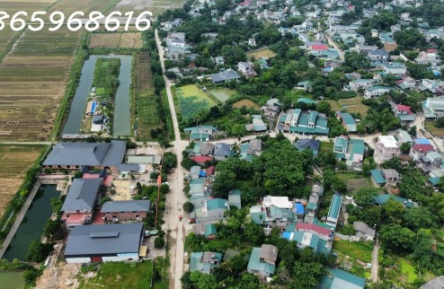 Sang nhượng dự án nông nghiệp an toàn VietGap tại Kim Phú, TP Tuyên Quang (sát Khu đô thị DanKo Kim Phú)