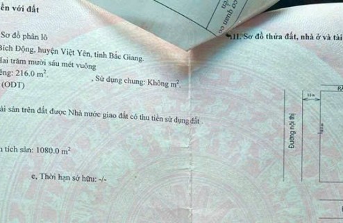 Cực Nóng Bán Tòa Nhà Dịch Vụ - Trái Tim phường Bích Động, thị xã Việt Yên, Bắc Giang