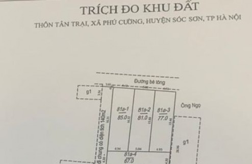 Chính chủ cần Bán đất phân lô 50m2 tân trại phú cường sóc Sơn Hà Nội