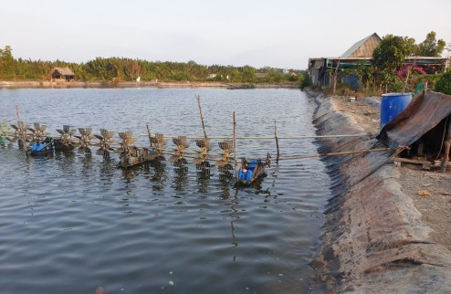 Bán Đất Xã Bình Khánh, Huyện Cần Giờ, TP HCM.