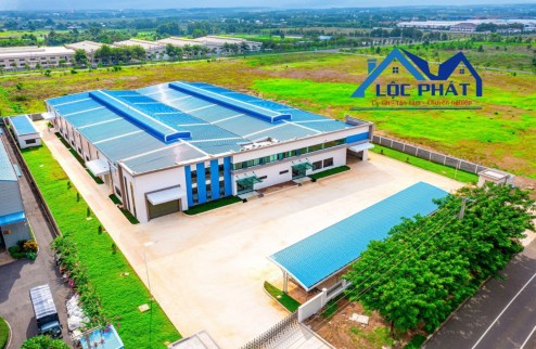 Cho thuê xưởng 10000m2 KCN Châu Đức , Bà Rịa Vũng Tàu.