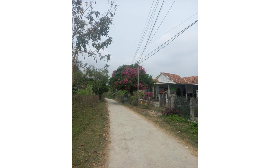 BÁN ĐẤT THỔ CƯ NẰM MẶT TIỀN ĐƯỜNG 5,5M XÃ NINH THÂN, NINH HÒA - GIÁ RẺ CHỈ 500 TRIỆU/LÔ