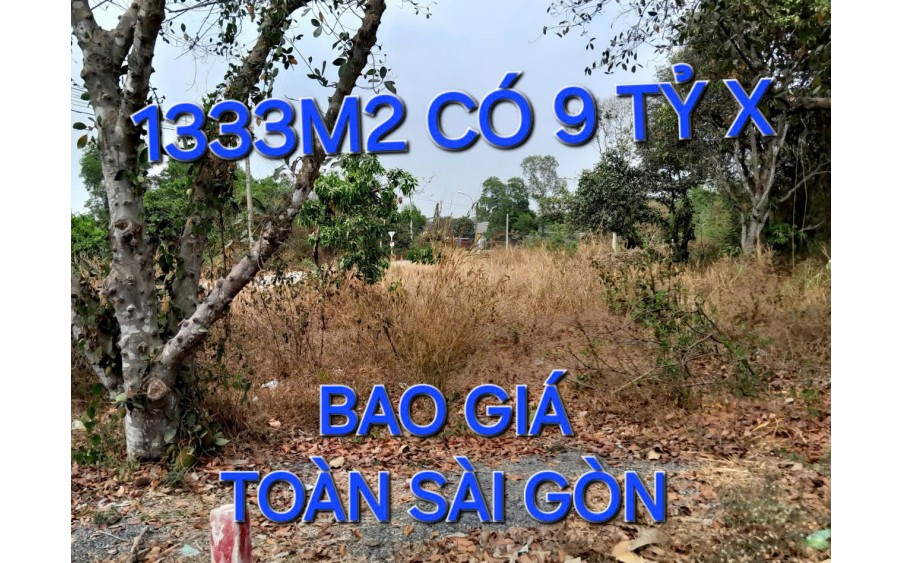 SĂN HÀNG NGỘP LÀ ĐÂY 1333m2 Đất 9 tỷ x Nguyễn Thị Nói Củ Chi TPHCM