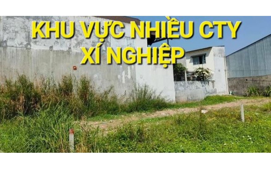 1339m2 Đất 20 x 60 = 9,5 tỷ Nguyễn Thị Nói Trung An Củ Chi TPHCM