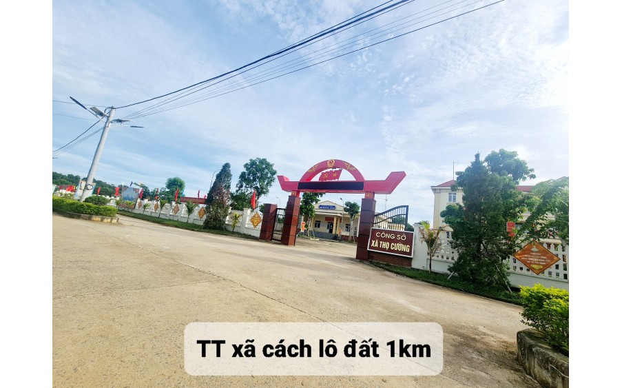 BÁN NHANH LÔ ĐẤT TẠI KCN TRIỆU SƠN, GẦN SÂN BAY THỌ XUÂN GIÁ NHỈNH 200 TRIỆU - 0973851566